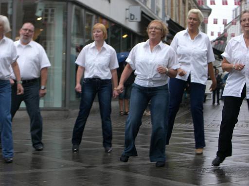 Opvisning_Bispensgade_20090815_4.jpg